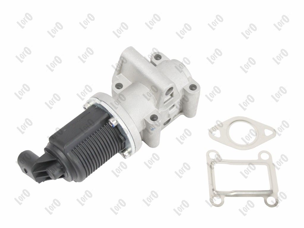 EGR Valve-1
