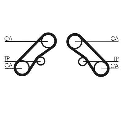 Timing Belt