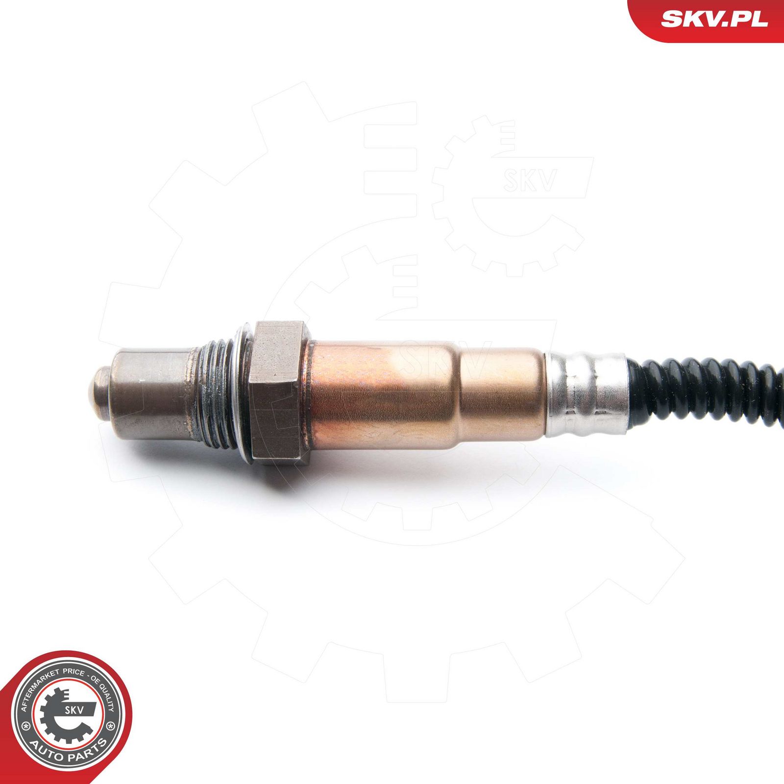 Oxygen Sensor-1