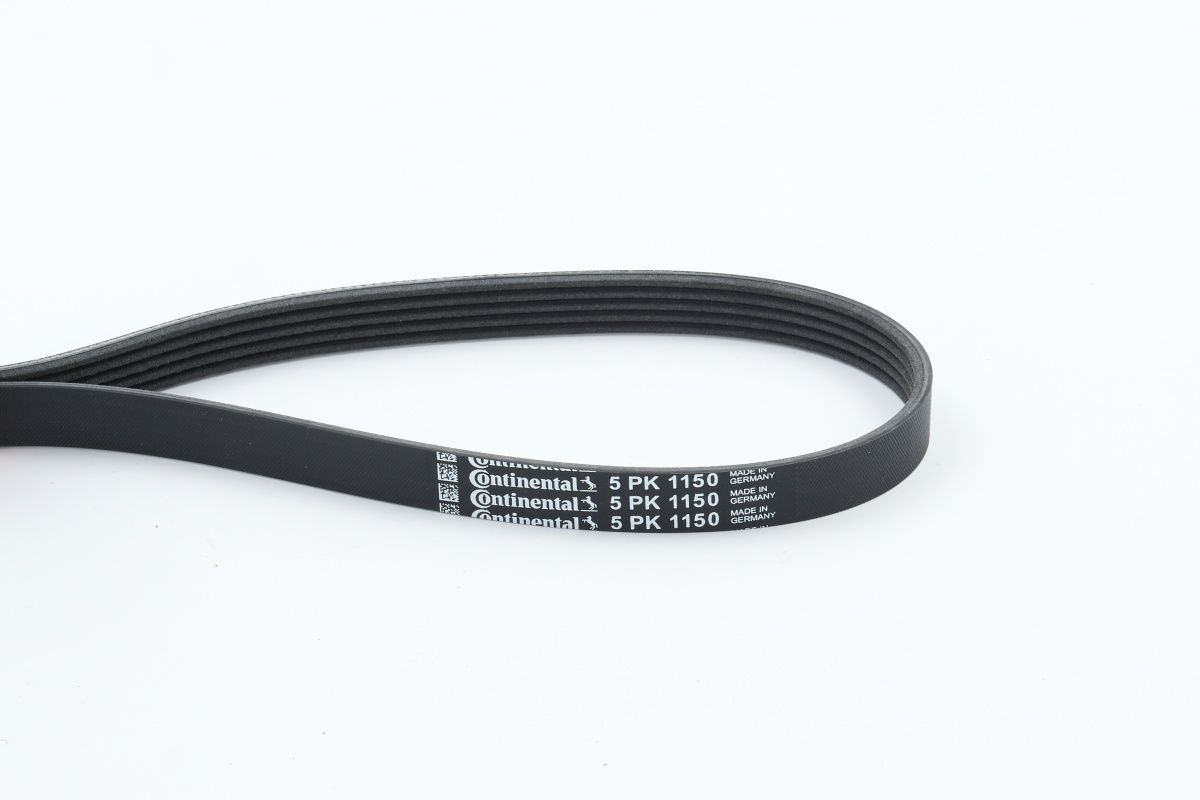 CONTINENTAL CTAM 5PK1150 V-ribbed belt