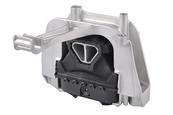 TEDGUM TED23096 Mounting, engine
