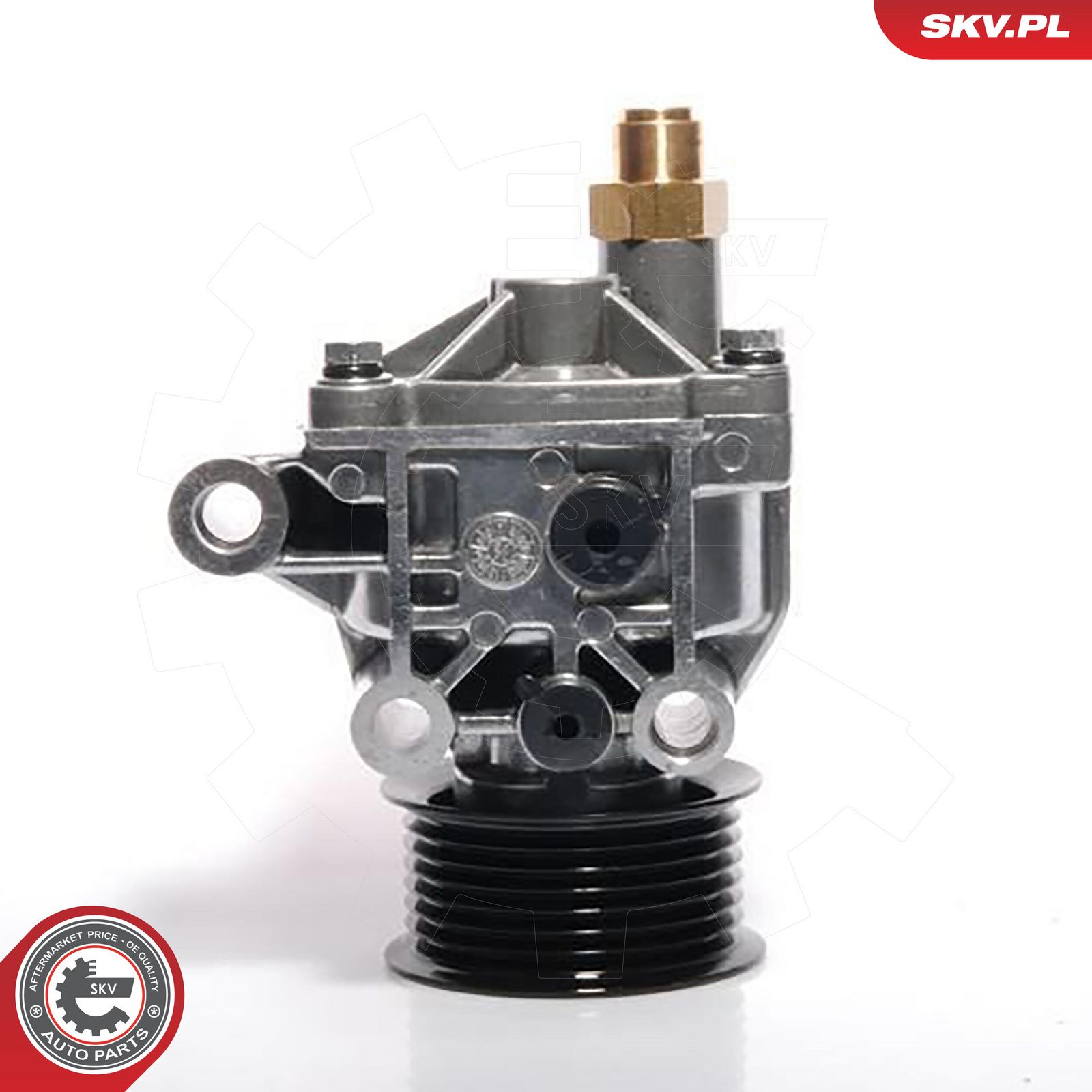 ESEN SKV 18SKV002 Vacuum pump, braking system