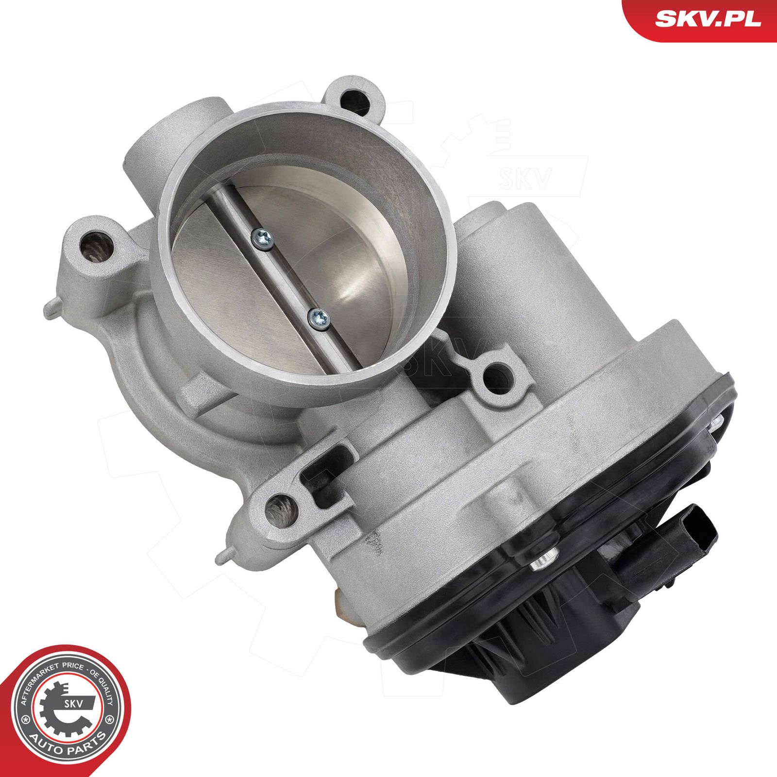 ESEN SKV 12SKV165 Throttle body