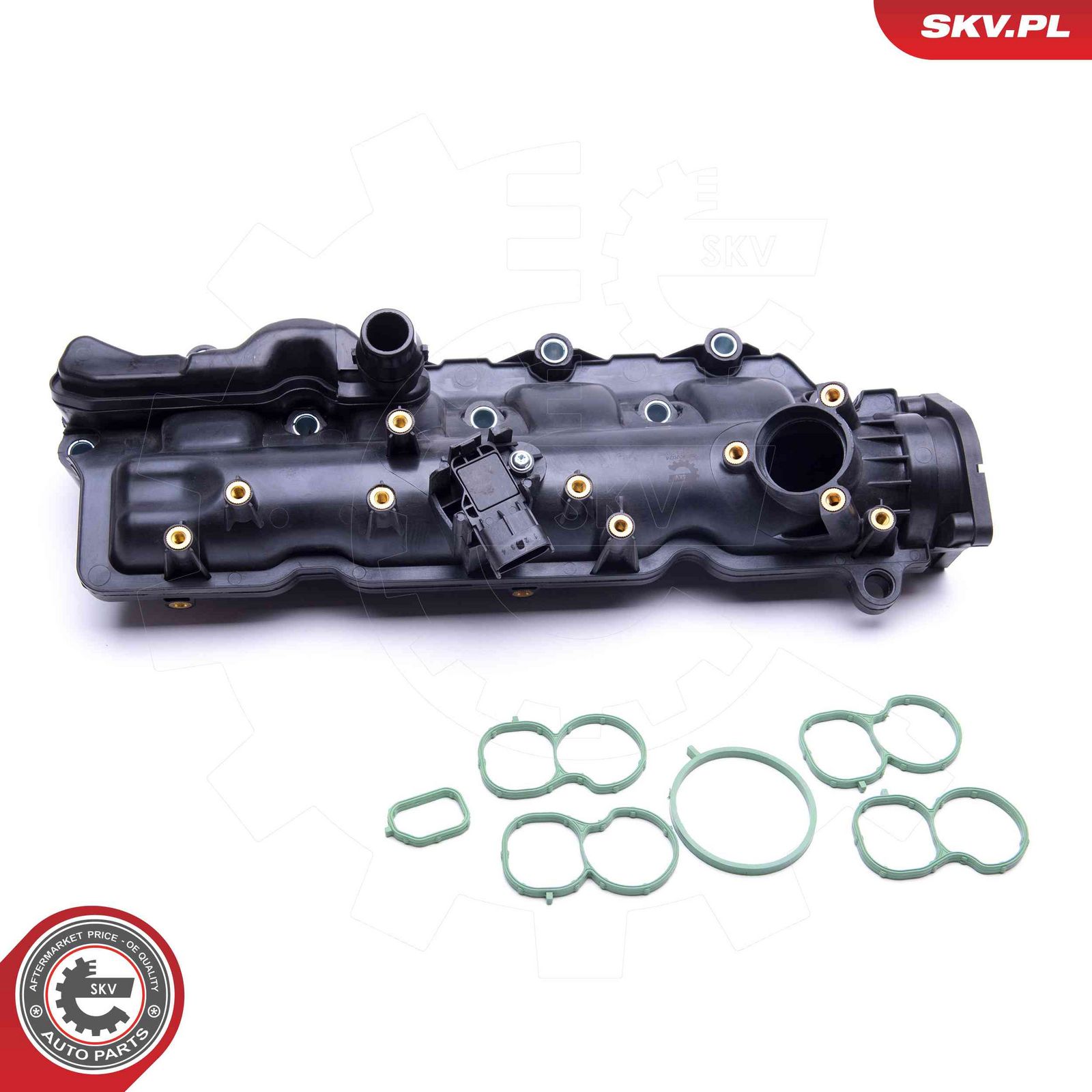 ESEN SKV 49SKV024 Intake manifold module