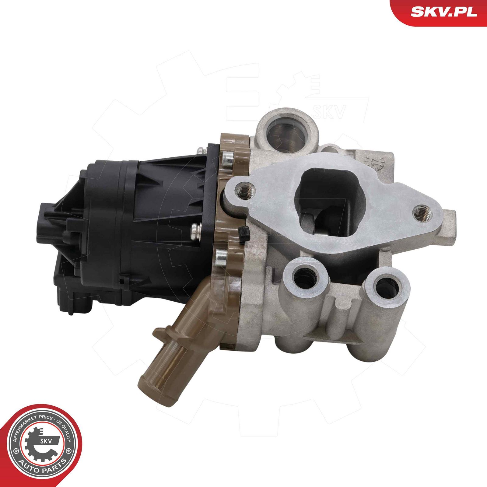 EGR Valve-4