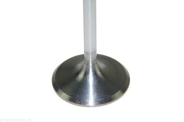 Intake Valve-1