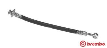 BREMBO T 56 144 Brake hose