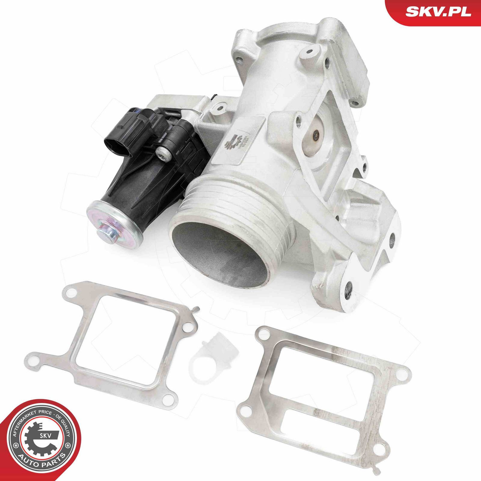 EGR Valve-4