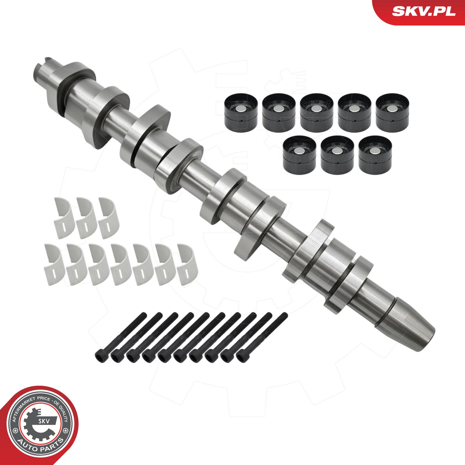 ESEN SKV 80SKV303 Camshaft kit