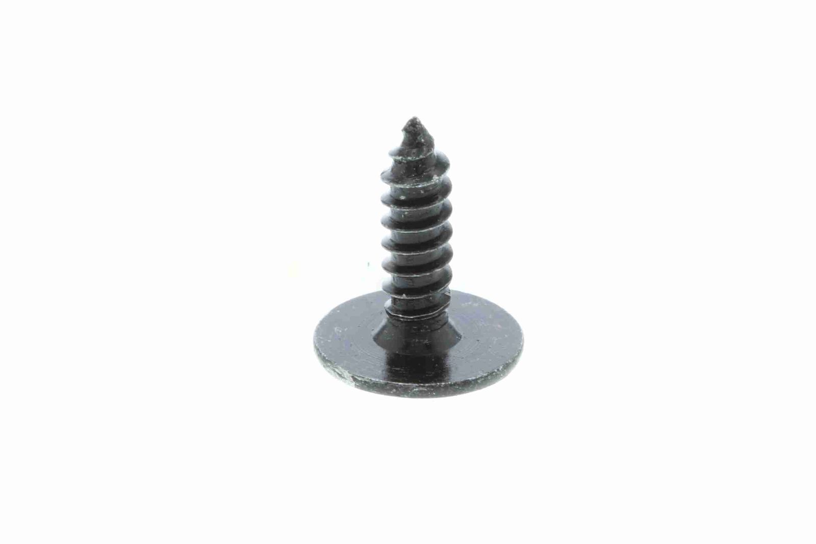 Screw-6