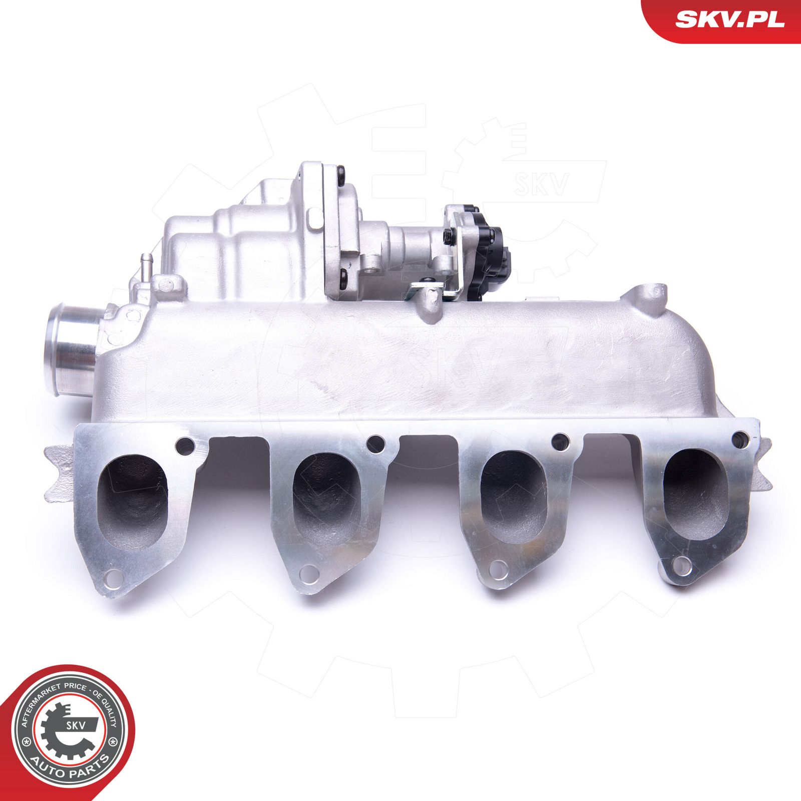EGR Valve-3