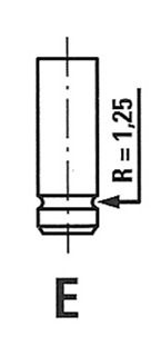 FRECCIA R6038/SNT Intake valve