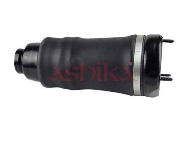 Air Spring, suspension-1