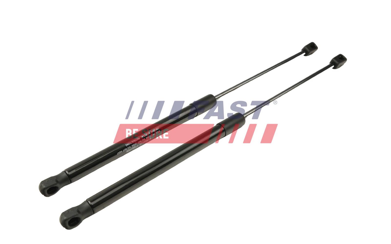 FAST FT00190K Gas spring, boot/cargo area