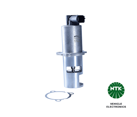 EGR Valve-1