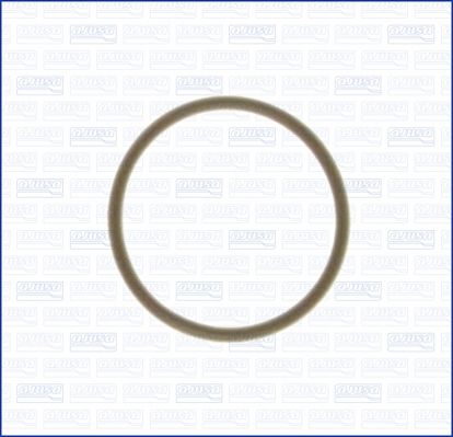 Seal, injector holder