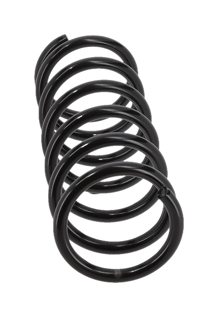 Suspension Spring-2