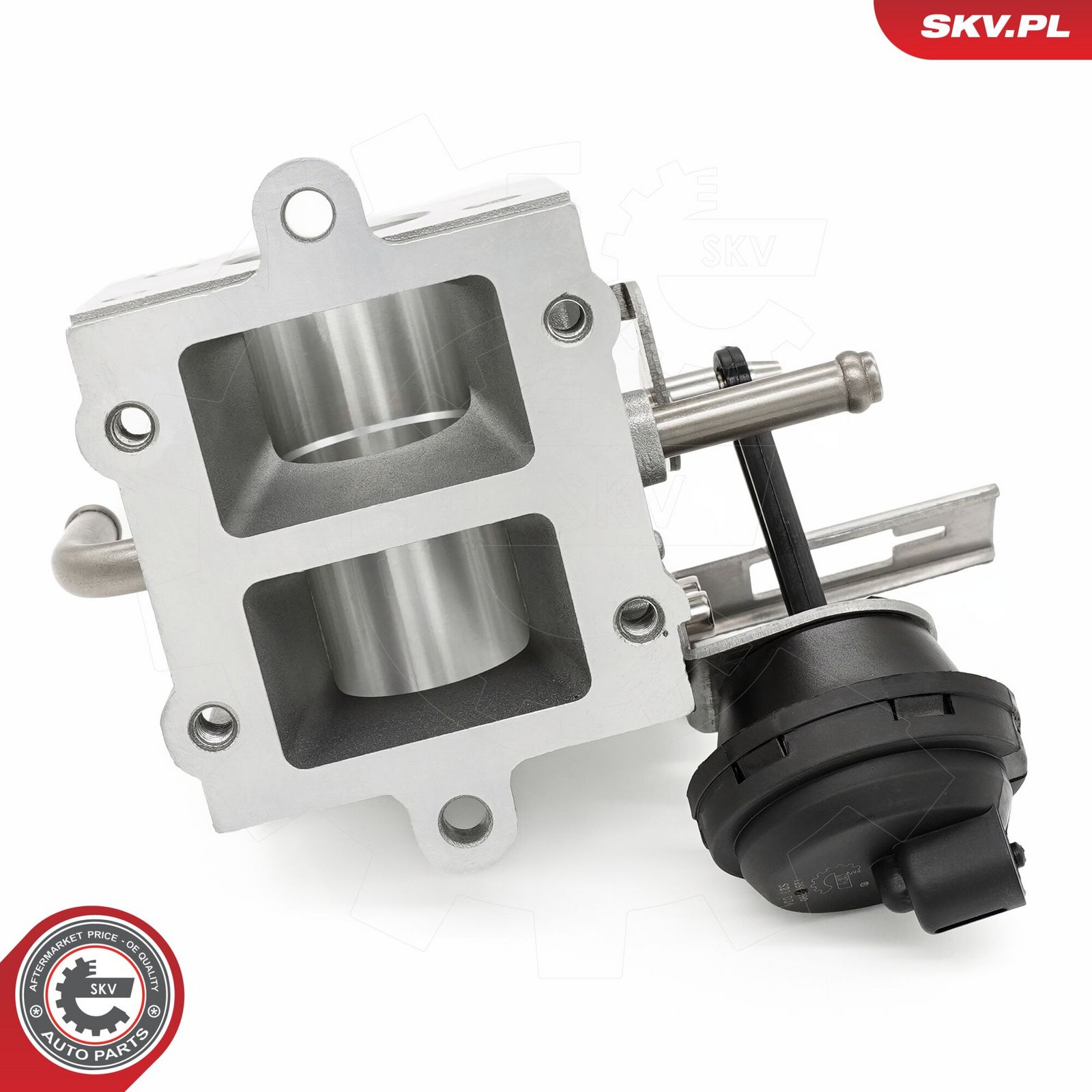 EGR Valve-2