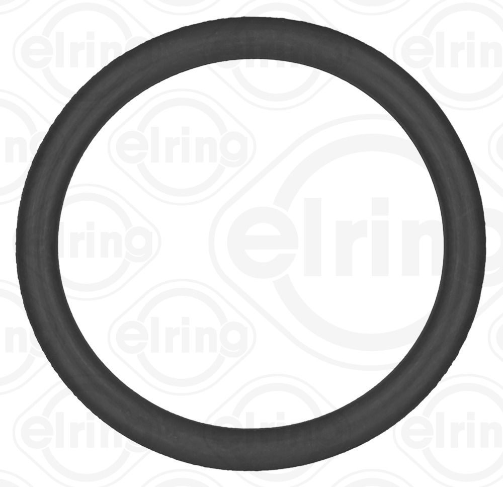 Seal Ring-1