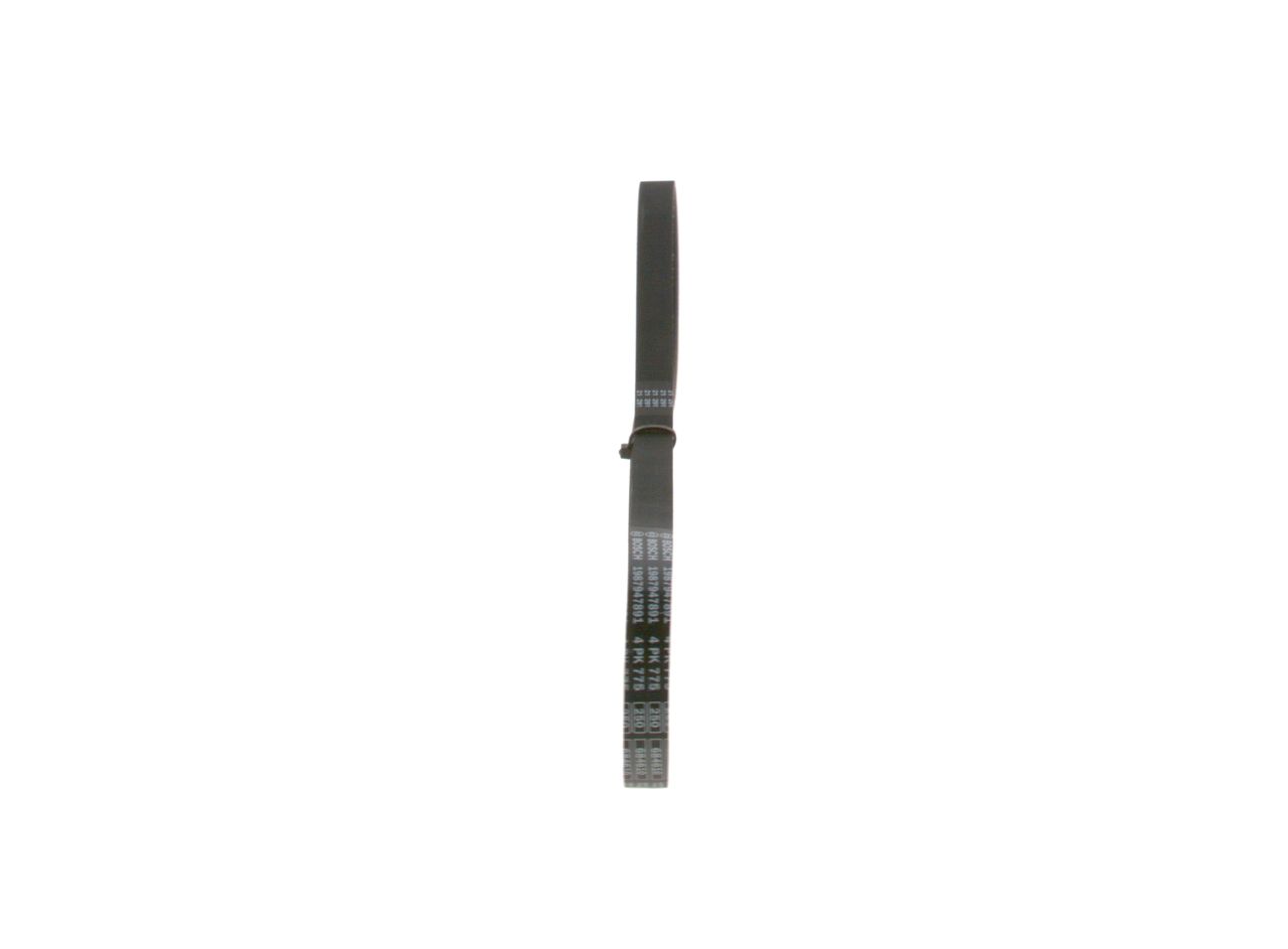 V-ribbed Belt-3