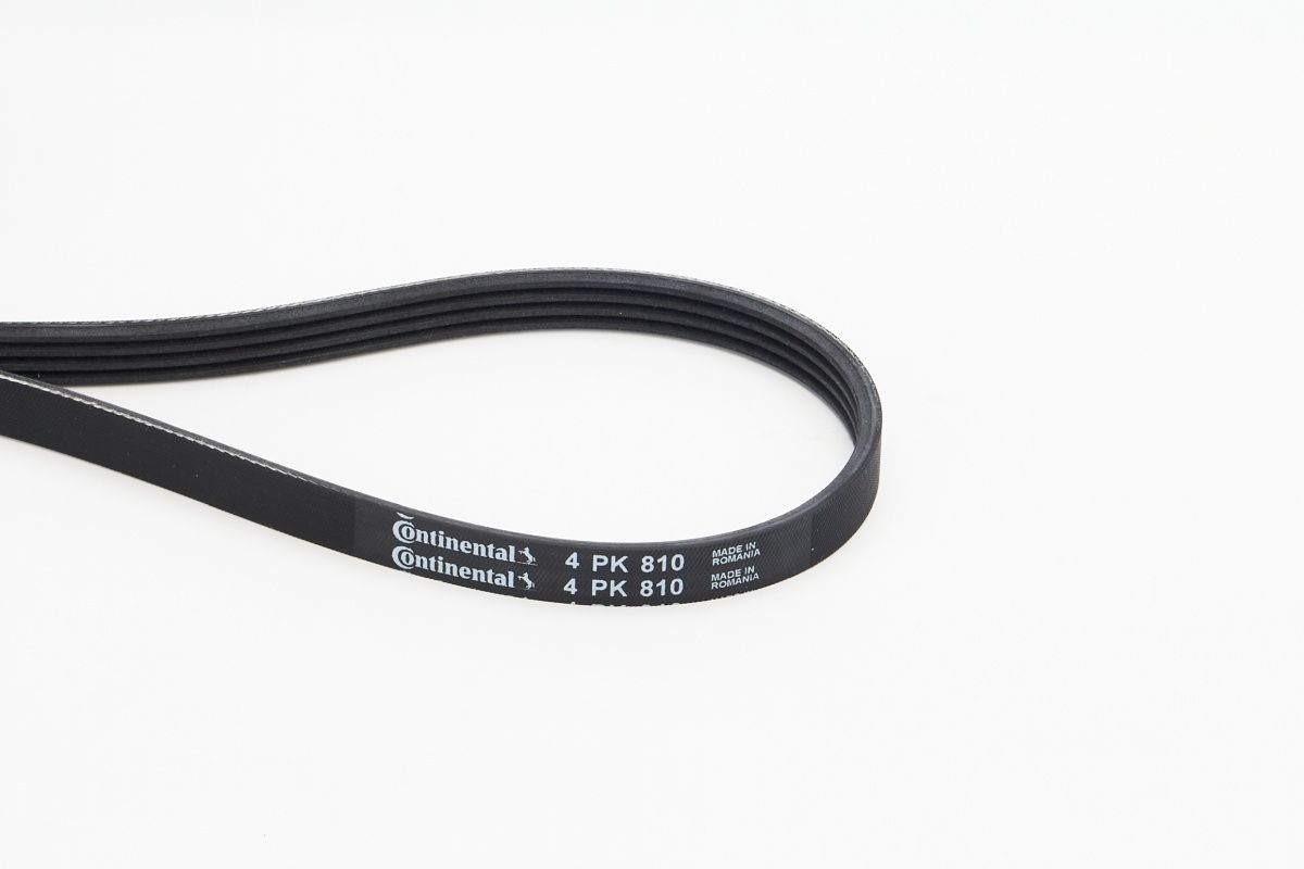 CONTINENTAL CTAM 4PK810 V-ribbed belt
