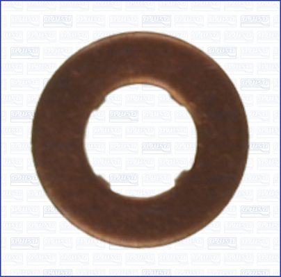 Seal Ring, nozzle holder-1