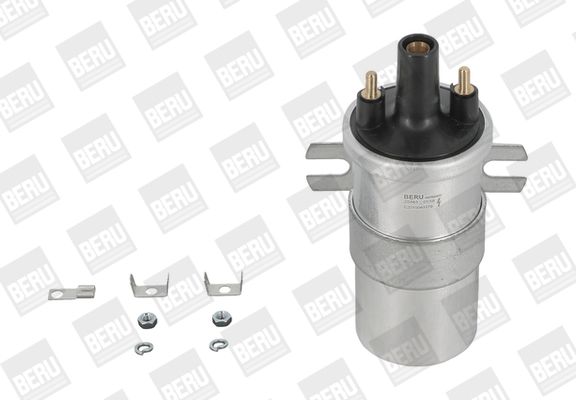 BORGWARNER (BERU) ZS563 Ignition coil