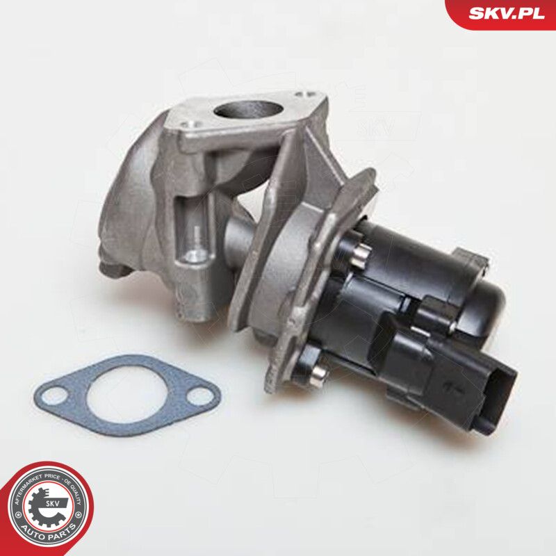 EGR Valve-4