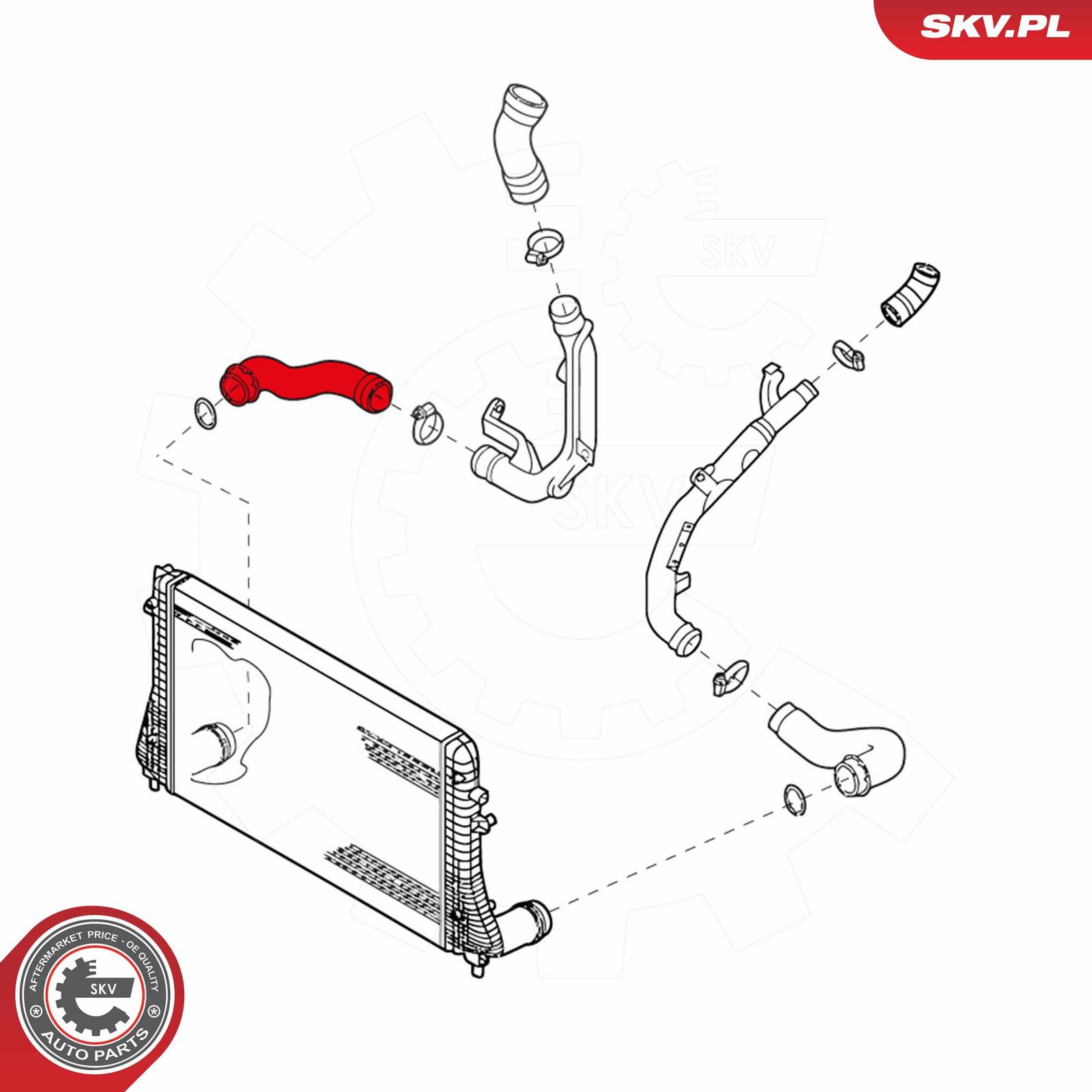Charge Air Hose-2