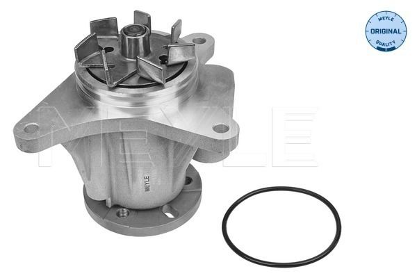 MEYLE 53-13 220 0007 Water pump, engine cooling