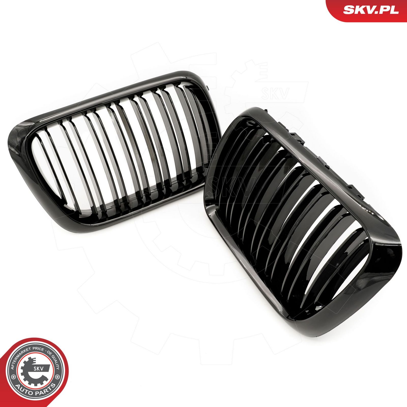 Radiator Grille-1