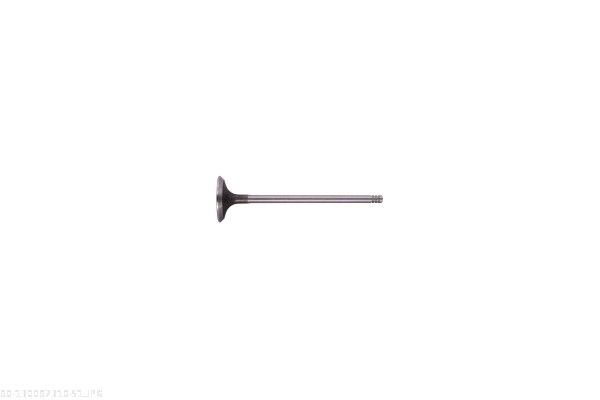 Exhaust Valve-2