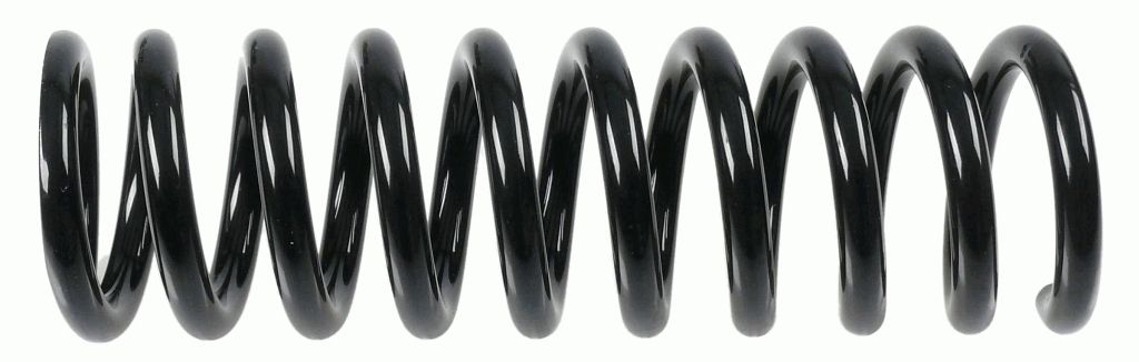 Suspension Spring-main