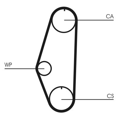 Timing Belt-1