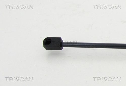 Gas Spring, boot/cargo area-2