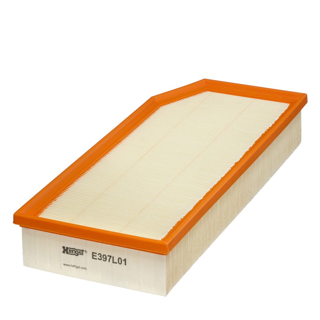 HENGST FILTER E397L01 Oro filtras