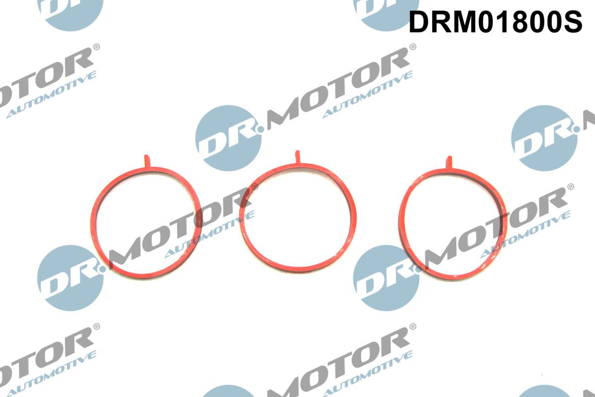 DR.MOTOR AUTOMOTIVE DRM01800S Gasket set, intake manifold