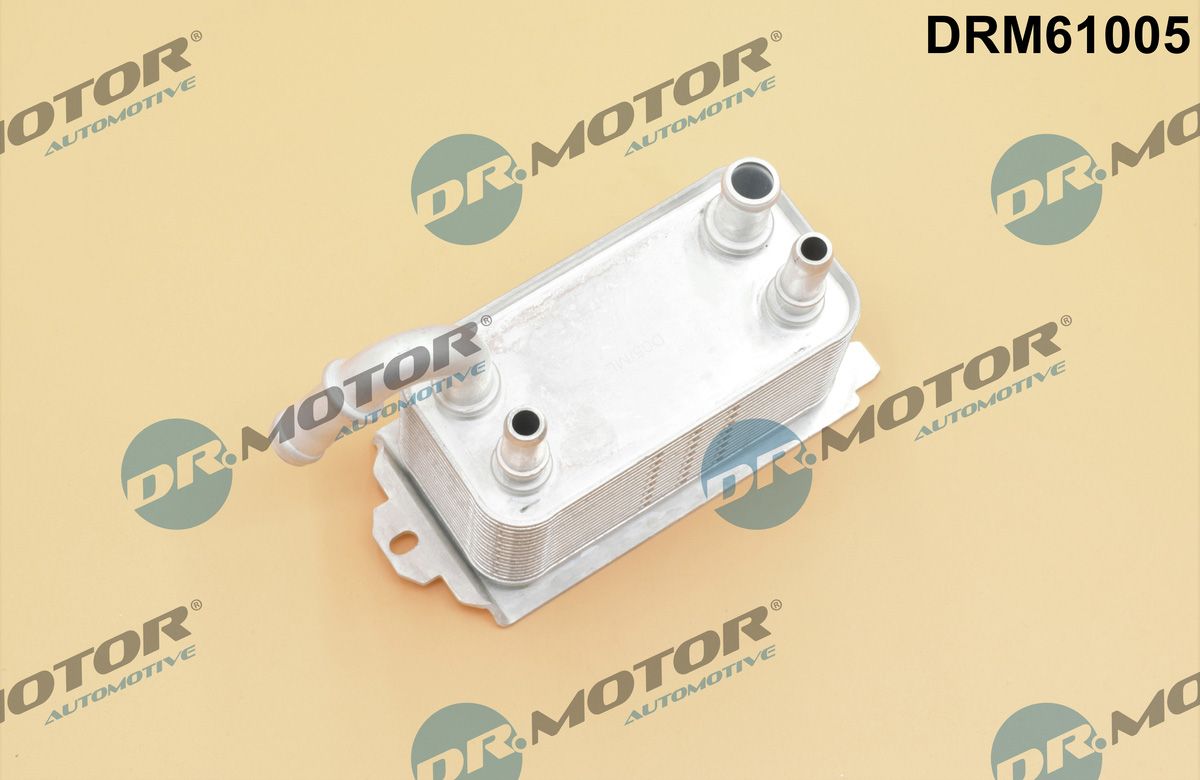DR.MOTOR AUTOMOTIVE DRM61005 Oil cooler, automatic transmission