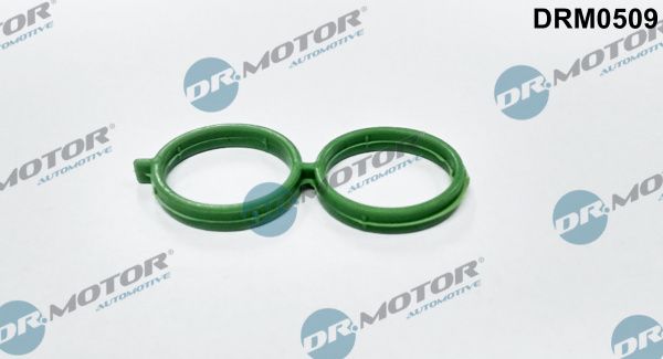 DR.MOTOR AUTOMOTIVE DRM0509 Gasket, idle control valve (air supply)