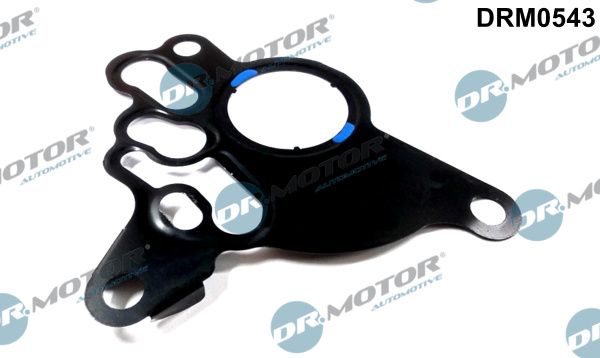 DR.MOTOR AUTOMOTIVE DRM0543 Gasket, vacuum pump