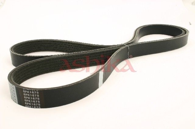 ASHIKA 112-6PK1675 V-ribbed belt