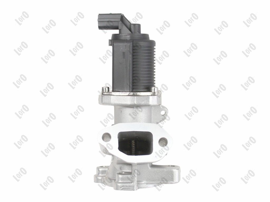 EGR Valve-2