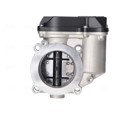 Throttle Body-1