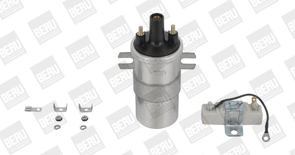 BORGWARNER (BERU) ZS567 Ignition coil