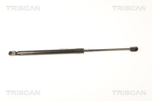 Gas Spring, boot/cargo area