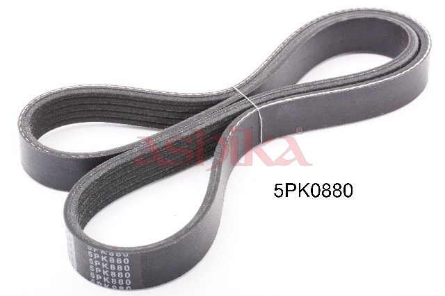 ASHIKA 112-5PK880 V-ribbed belt