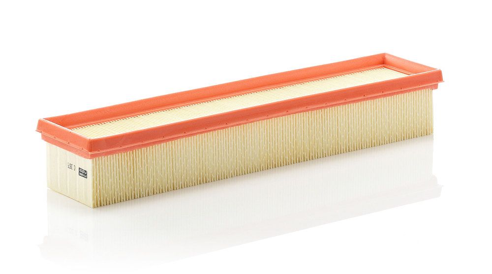 MANN-FILTER C 3875 Air filter