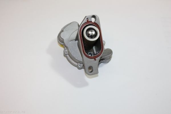 AUTOMEGA 120013510 Vacuum pump, braking system