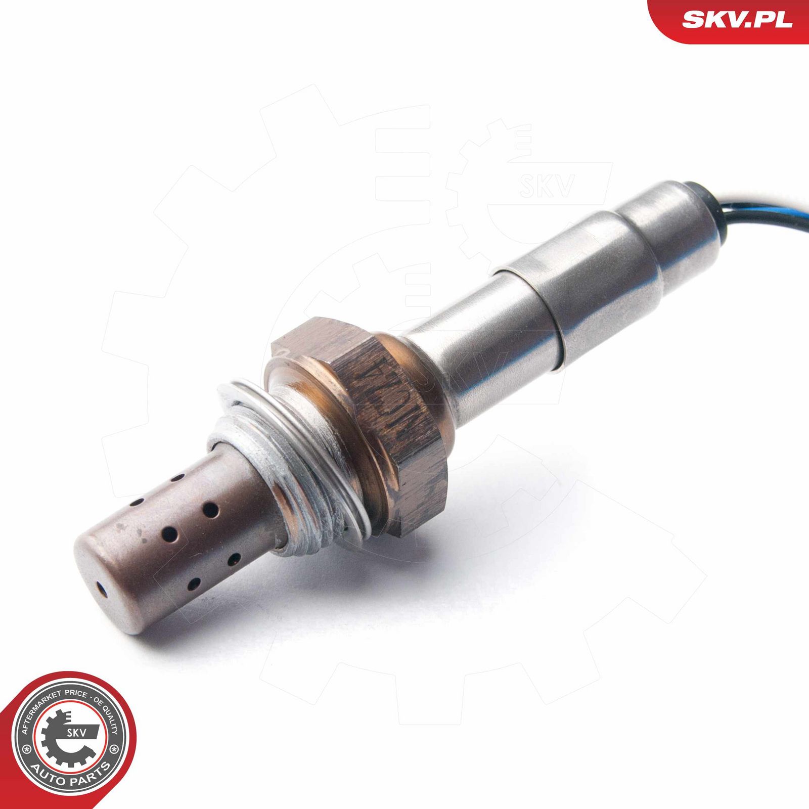 Oxygen Sensor-2