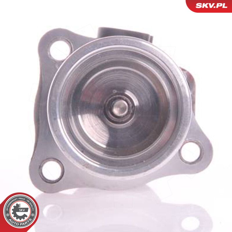 EGR Valve-2